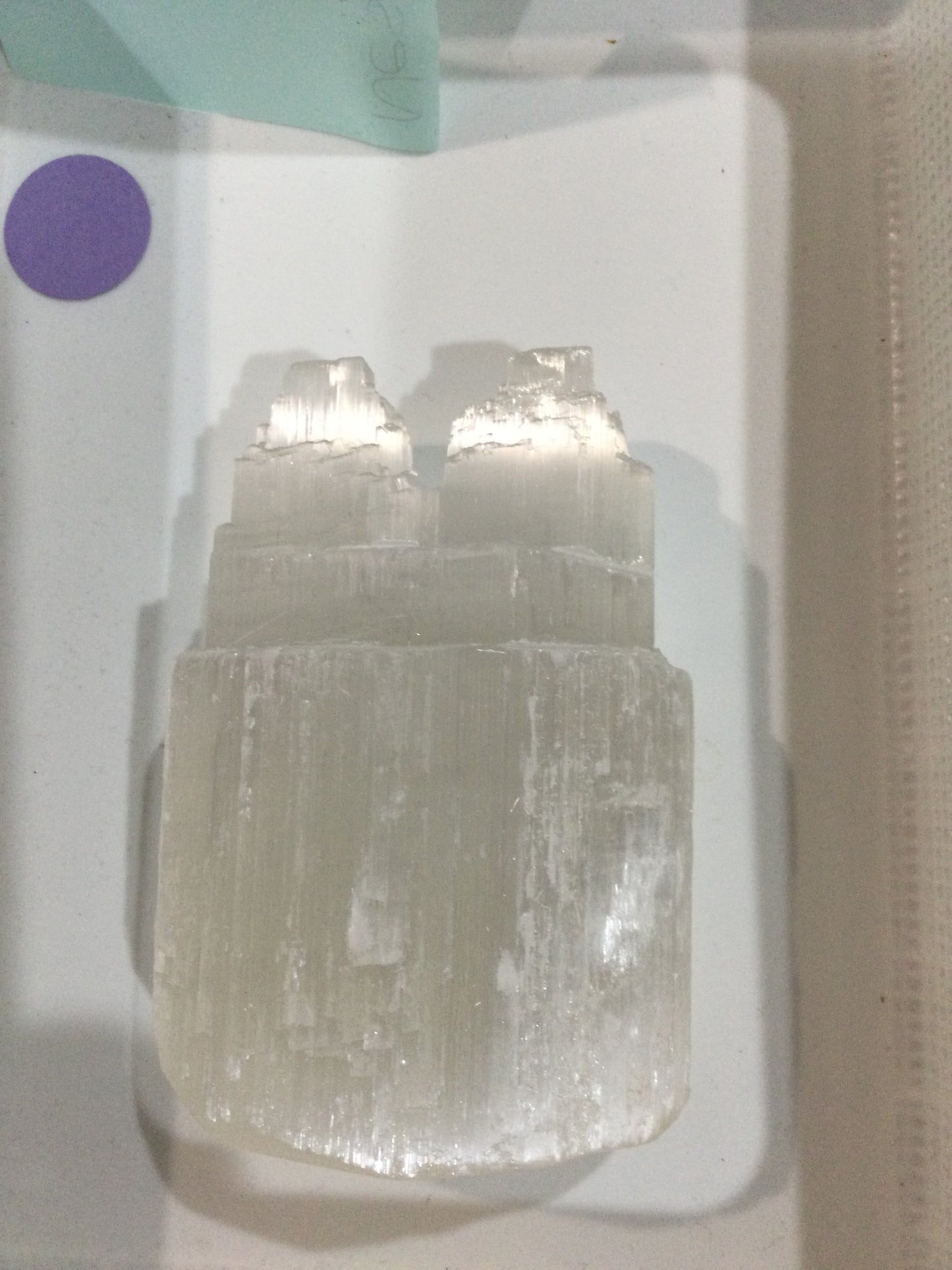 Ness’s Live Sale Order- 20/08