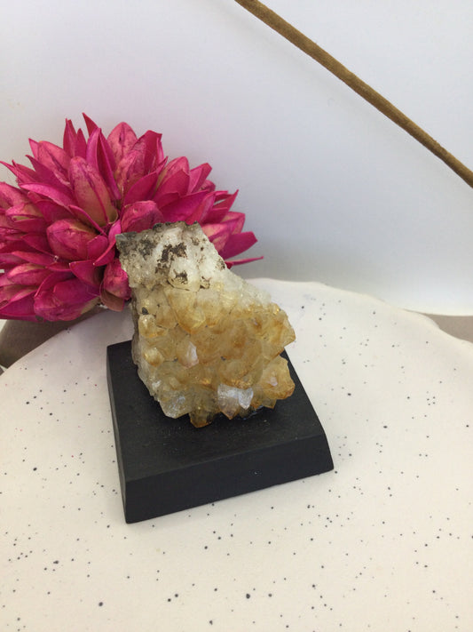 Citrine Cluster on Wood Base (EI1)