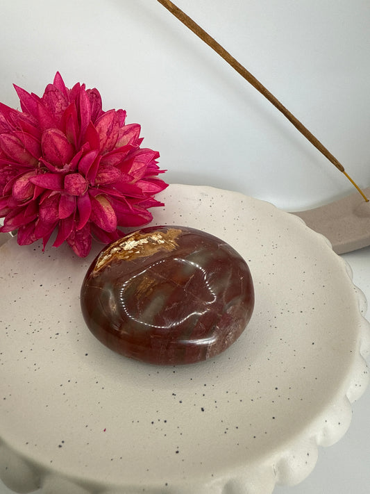 Petrified wood palmstone (AC1)