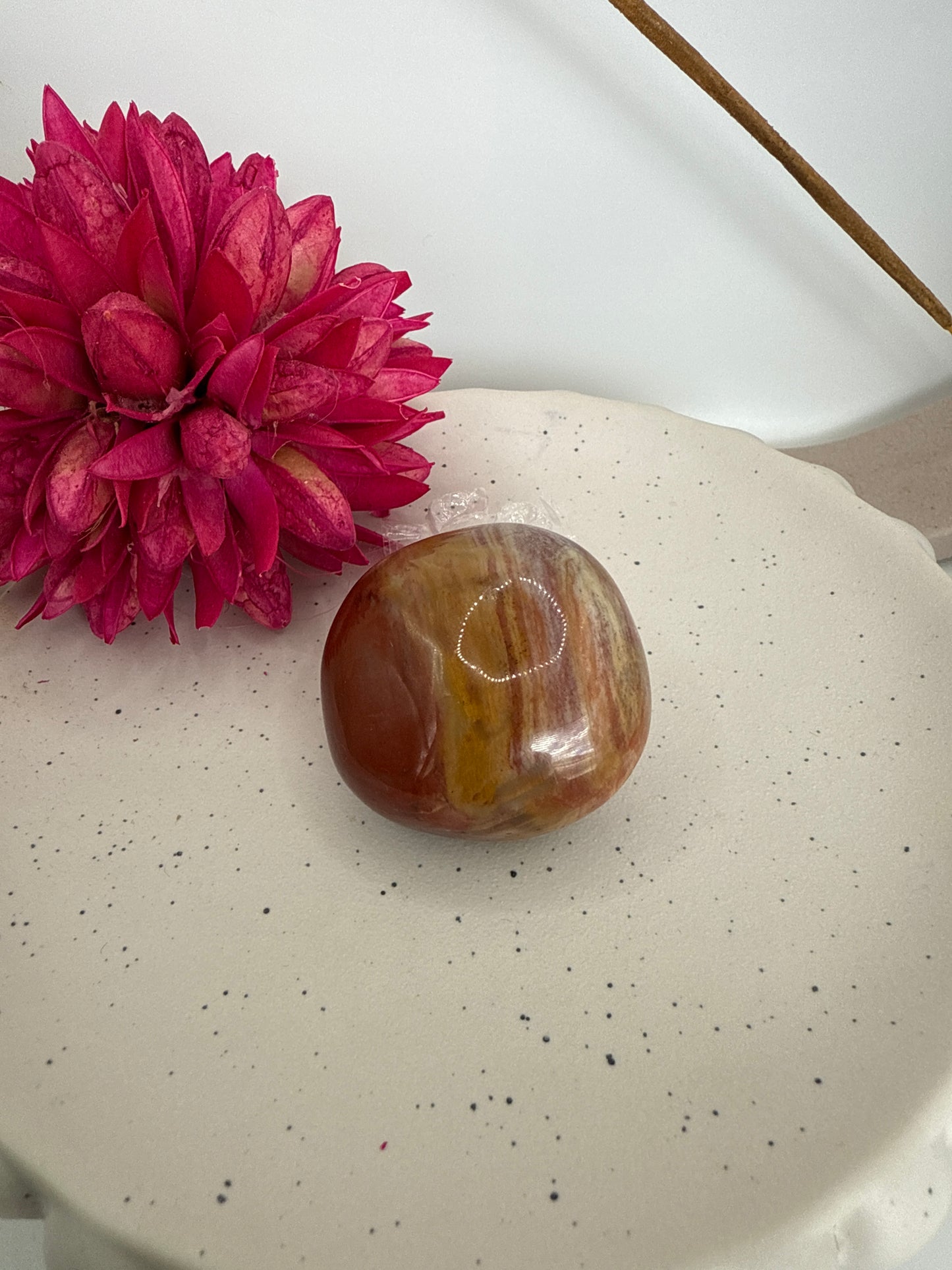 Petrified wood palmstone (AC4)