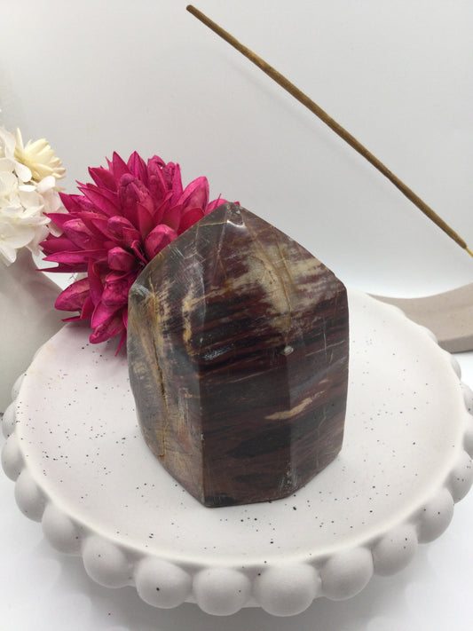 Petrified Wood Tower (DJ2)