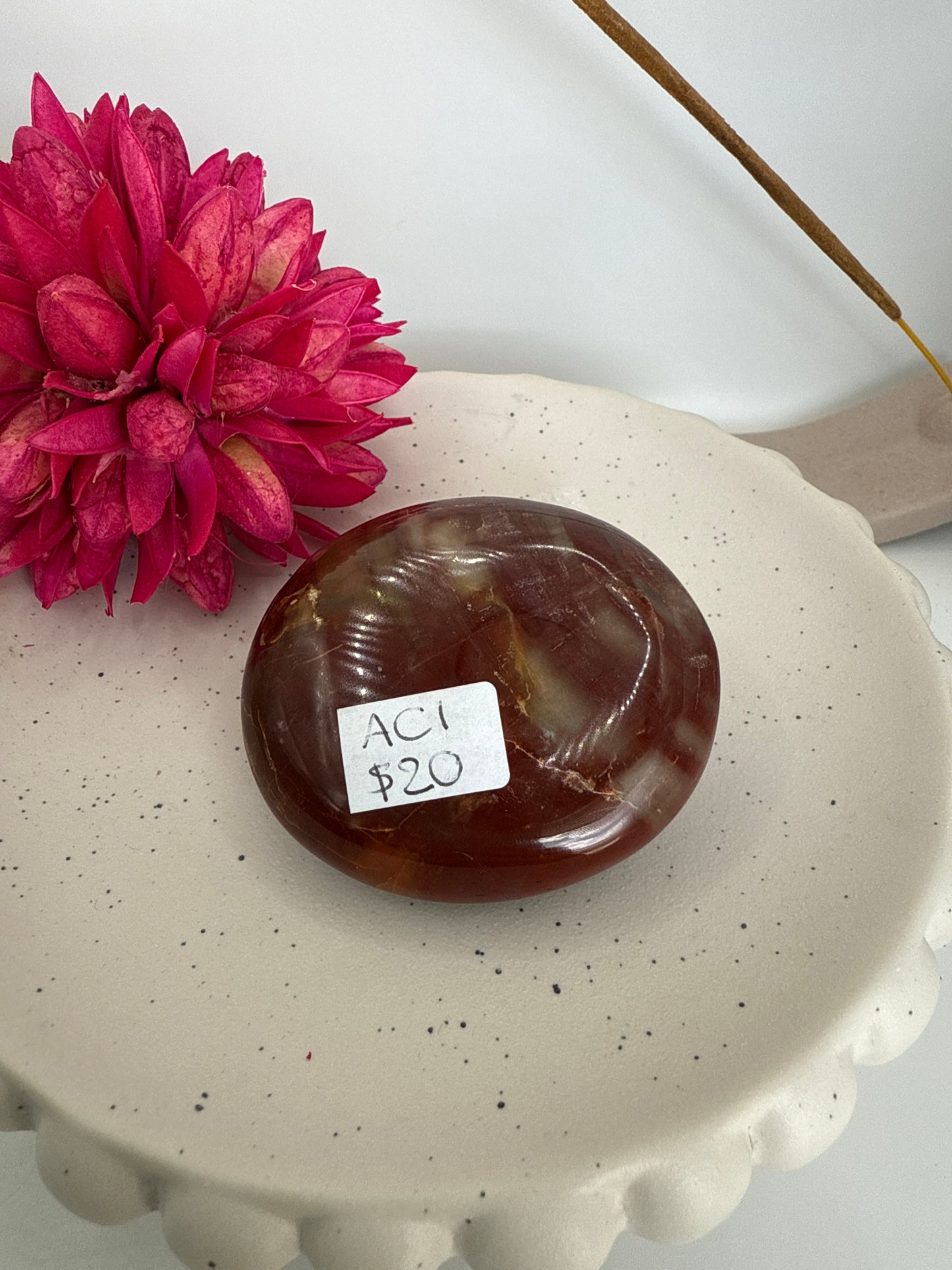 Petrified wood palmstone (AC1)