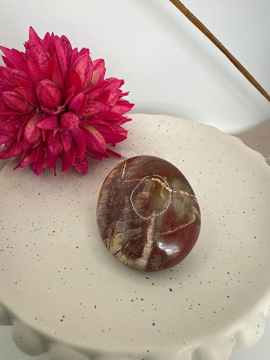 Petrified wood palmstone (AC3)