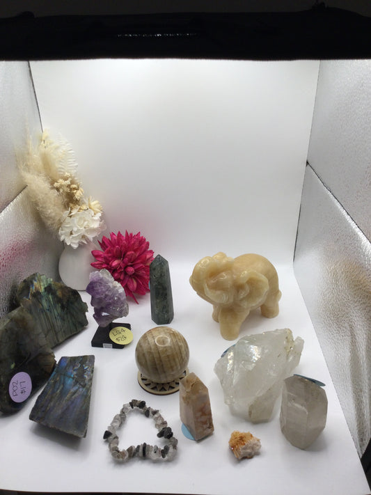 Emily’s Live Sale Order Payment 2/4