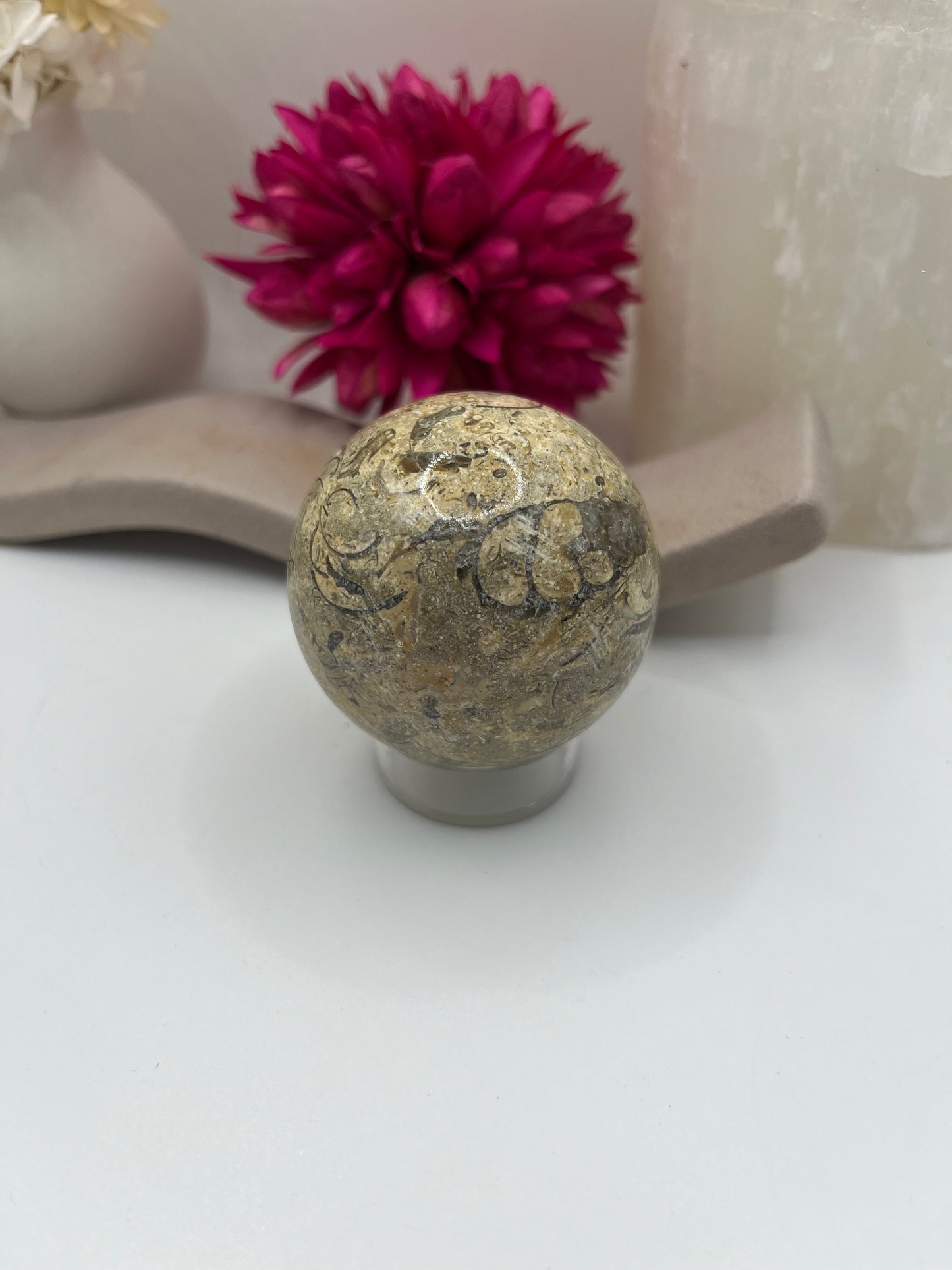 Fossil Coral Sphere
