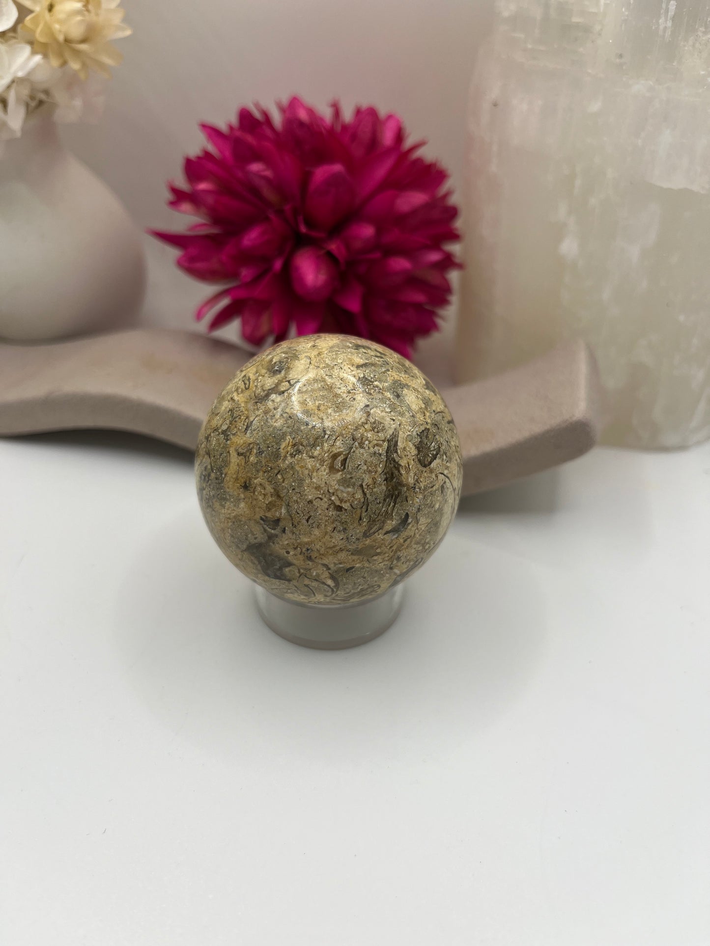 Fossil Coral Sphere